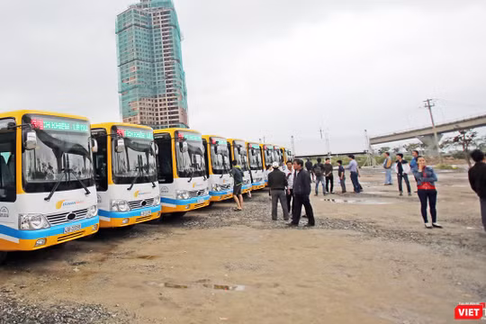 Tài xế và nhân viên xe buýt trợ giá bãi việc do nợ lương đã làm việc trở lại sau khi doanh nghiệp chi trả lương. ảnh Hồ Xuân Mai