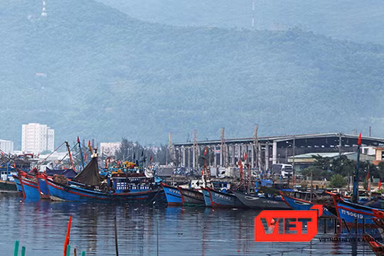 Đà Nẵng tiếp tục ra "tối hậu thư" xử lý môi trường tại Âu thuyền và Cảng cá Thọ Quang