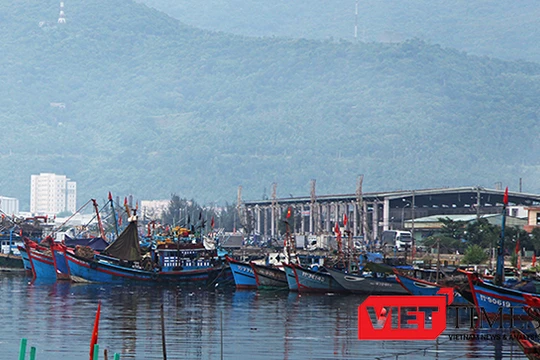 Đà Nẵng tiếp tục ra "tối hậu thư" xử lý môi trường tại Âu thuyền và Cảng cá Thọ Quang