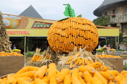 Diễn ra từ ngày 1/10-31/10/2017, lễ hội Halloween tại Sun World Ba Na Hills với chủ đề “Xứ sở thần tiên” sử dụng hơn 10 tấn bí, ngô, táo để đem đến cho du khách những trải nghiệm khác lạ.