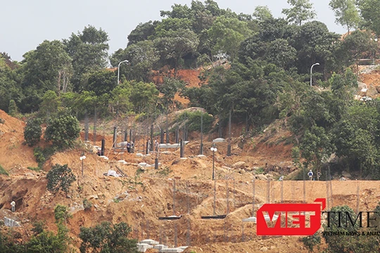 Dự án "băm" bán đảo Sơn Trà: Sở NN&PTNT cho phá rừng để tận thu củi?