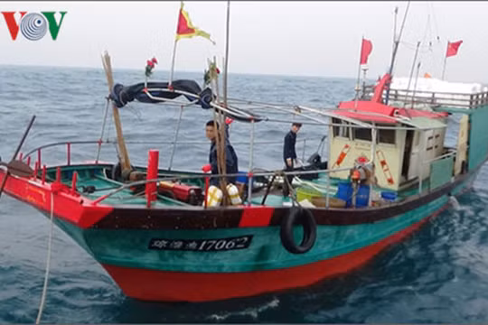 Tàu cá Trung Quốc vi phạm vùng biển Việt Nam bị bắt giữ và xử lý (ảnh VOV)