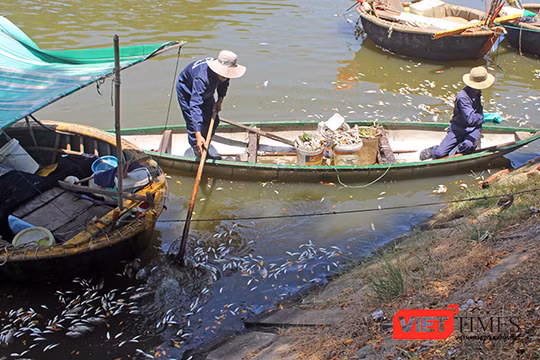 Tình trạng ô nhiễm tại sông Phú Lộc (Đà Nẵng) tiếp diễn và kéo dài suốt thời gian qua gây bức xúc trong dư luận