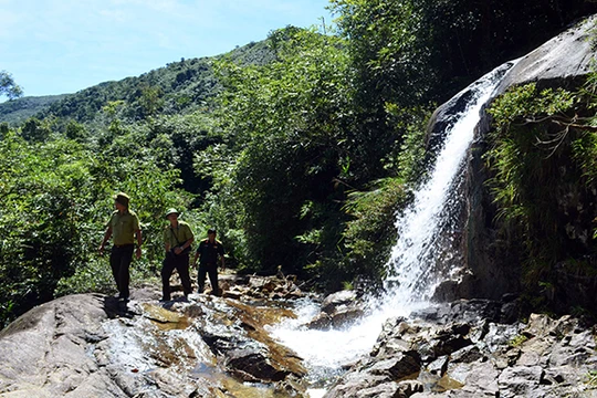 Quảng Nam sẽ nâng hạng Khu bảo tồn thiên nhiên sông Thanh lên Vườn quốc gia