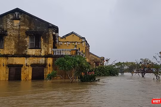 Mực nước trên các sông Thu Bồn tại Hội An ở mức 3,15m, trên mức BDD3 1,15m, xấp xỉ đỉnh lũ lịch sử năm 1964 0,25m