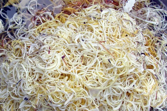 Phòng Cảnh sát môi trường, Công an TP Đà Nẵng vừa phát hiện 8 cơ sở sử dụng hóa chất không rõ nguồn gốc để tẩy trắng bắp chuối tại Chợ Đầu mối Hòa Cường (quân Hải Châu). (ảnh Xichlo)