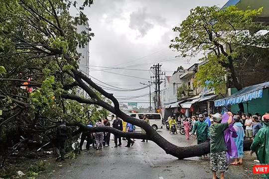 Mặc dù bão số 12 không đổ bộ vào Đà Nẵng, nhưng từ đêm qua đến chiều nay (4/11), trên địa bàn TP Đà Nẵng đã có mưa vừa đến mưa to, kèm theo gió giật cấp 9, trên cấp 9, nước biển dâng cao 3-4m đã làm hư hỏng nhiều công trình, cây xanh.