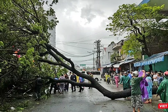 Mặc dù bão số 12 không đổ bộ vào Đà Nẵng, nhưng từ đêm qua đến chiều nay (4/11), trên địa bàn TP Đà Nẵng đã có mưa vừa đến mưa to, kèm theo gió giật cấp 9, trên cấp 9, nước biển dâng cao 3-4m đã làm hư hỏng nhiều công trình, cây xanh.