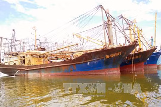 Nhiều câu hỏi lớn từ việc hàng loạt tàu cá vỏ thép ở Bình Định bị hư hỏng