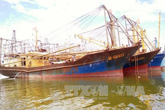 Nhiều câu hỏi lớn từ việc hàng loạt tàu cá vỏ thép ở Bình Định bị hư hỏng