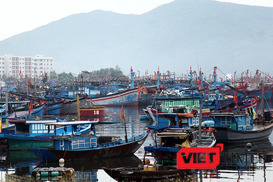 Tính đến sáng 14/9, Đà Nẵng đã thông tin cho 1.619 phương tiện/7.152 lao động được biết diễn biến của bão số 10. Kêu gọi 1.457 phương tiện/5.840 lao động về bờ neo đậu, số phương tiện còn hoạt động trên biển là 162/1.312 lao động đã nắm thông tin, đường đ