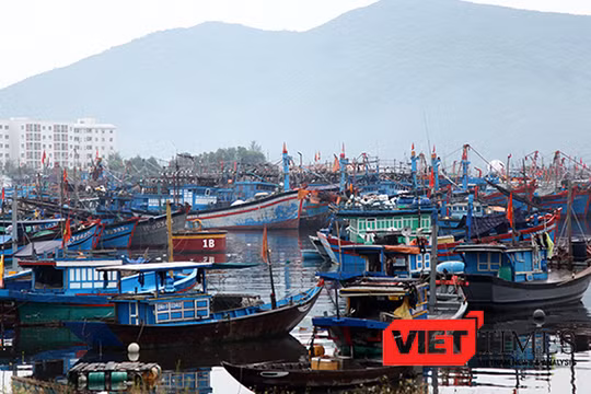 Tính đến sáng 14/9, Đà Nẵng đã thông tin cho 1.619 phương tiện/7.152 lao động được biết diễn biến của bão số 10. Kêu gọi 1.457 phương tiện/5.840 lao động về bờ neo đậu, số phương tiện còn hoạt động trên biển là 162/1.312 lao động đã nắm thông tin, đường đ