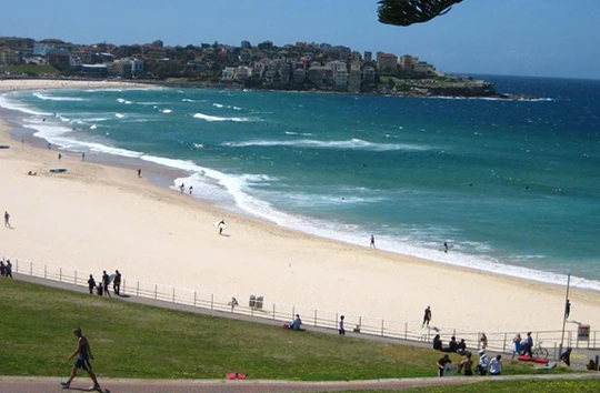 UBND tỉnh Phú Yên vừa có quyết định thu hồi gần 55,3ha đất du lịch ven biển của 6 nhà đầu tư chậm triển khai