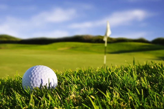 Ảnh minh họa. Nguồn: Internet