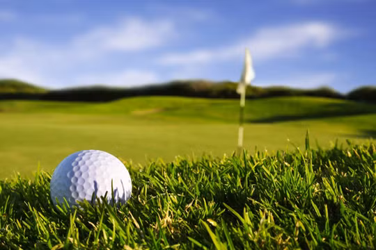 Ảnh minh họa. Nguồn: Internet