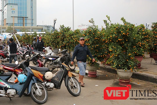 Mưa kéo dài, kinh doanh khó khăn, sáng 25/1, Chủ tịch UBND TP Đà Nẵng Huỳnh Đức Thơ quyết định giảm giá 50% tiền thuê mặt bằng bán hoa cho các tiểu thương.