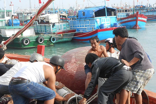 Ngư dân Lý Sơn phần khởi chuẩn bị ngưu lưới cụ để mở biển đầu năm