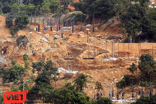 Dù chưa gửi báo cáo tác động môi trường đến cơ quan chức năng, phía chủ đầu tư Dự án đã "băm nát" rừng Sơn Trà để xây biệt thự nghỉ dưỡng