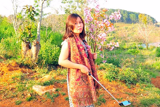 UBND tỉnh Bình Thuận đã có văn bản khẩn và yêu cầu bà Phạm Thị Minh Hiếu, Phó Giám đốc Sở Tư pháp Bình Thuận xin lỗi công khai liên quan đến vụ việc "bẻ hoa" Mai Anh Đào tại Đà Lạt (Lâm Đồng) (ảnh Tuổi Trẻ)