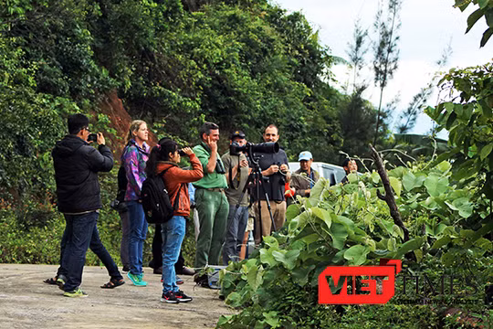 Sáng 2/4, một loạt các Giám đốc tổ chức Bảo tồn động vật trên thế giới đã cùng tập hợp đi thị sát thực địa hệ sinh thái bán đảo Sơn Trà sau khi xuất hiện những động thái xâm hại tại đây.