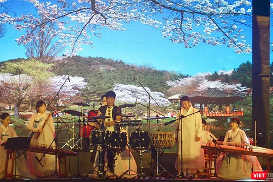  Tối 15/12, tại TP Tam Kỳ, sự kiện “Ngày Hàn Quốc tại Quảng Nam” đã chính thức khai mạc