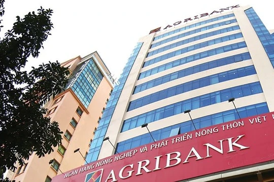 Ảnh minh họa (Nguồn: Internet)