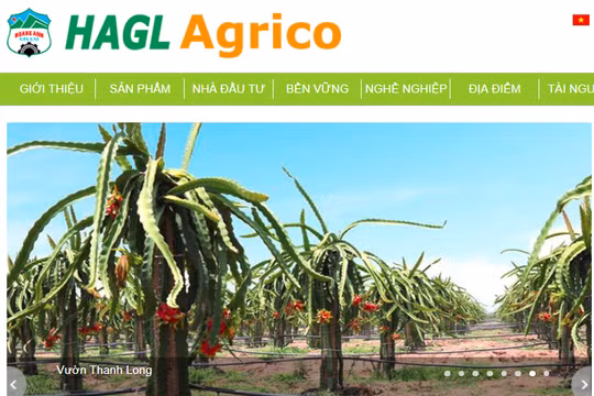 Ảnh minh họa (Nguồn: HNG)