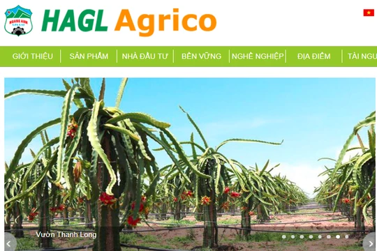 Ảnh chụp màn hình trang chủ của HAGL Agrico (Nguồn: HNG)