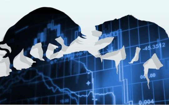 Ảnh minh họa (Nguồn: Internet)