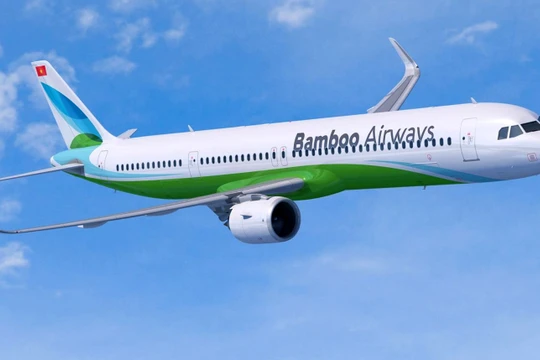 Ảnh minh họa (Nguồn: Internet)