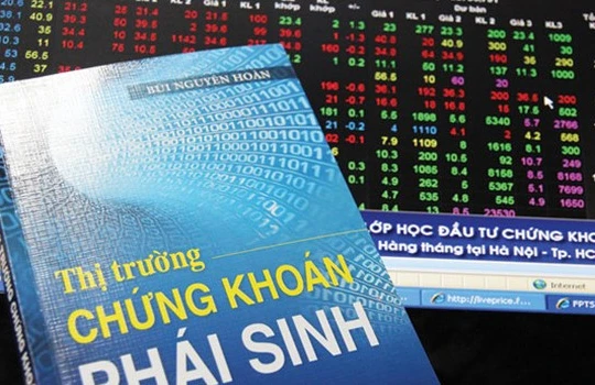 Ảnh minh họa (Nguồn: Internet)