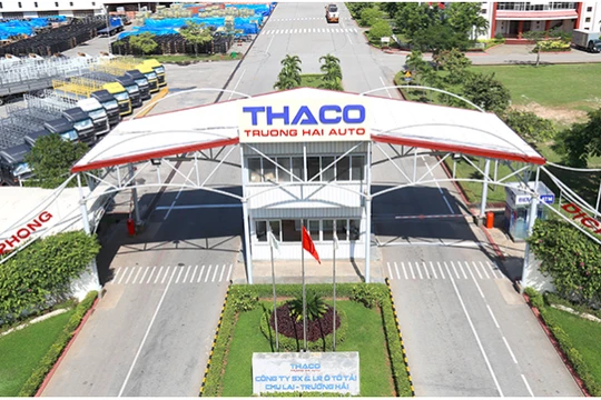 Ảnh minh họa (Nguồn: Internet)