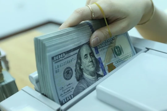 Ảnh minh họa (Nguồn: Internet)