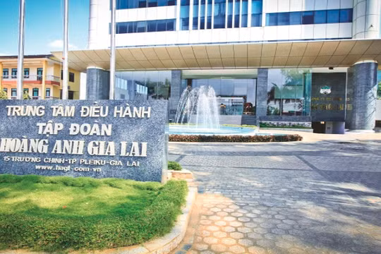 Trung tâm điều hành Tập đoành Hoàng Anh Gia Lai - Công ty mẹ của HAGL Agrico (Nguồn: HNG)