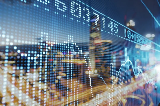 Ảnh minh họa (Nguồn: Internet)