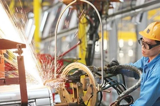 Ảnh minh họa (Nguồn: Internet)