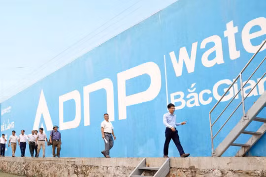 Chứng khoán Quốc gia (NSI) không còn là cổ đông lớn của DNP Holding