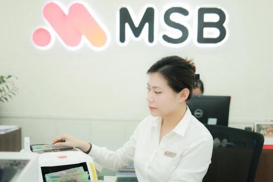 MSB công bố kết quả kinh doanh 9 tháng đầu năm 2024 