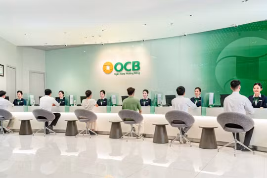 OCB liên tiếp lọt Top nhà tuyển dụng được yêu thích nhất năm 2024 