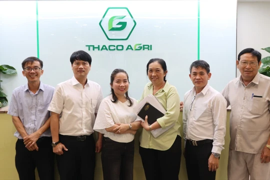 THACO AGRI phát triển chuỗi cung ứng nguyên liệu thức ăn bền vững cho bò