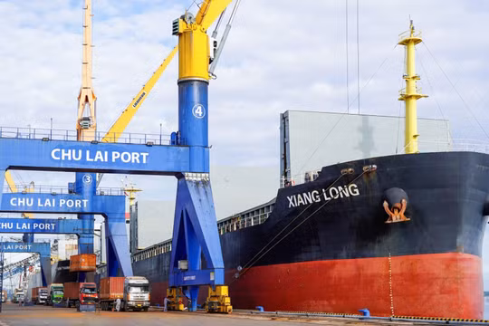 Hàng hóa qua cảng Chu Lai tăng mạnh trong tháng 10/2024