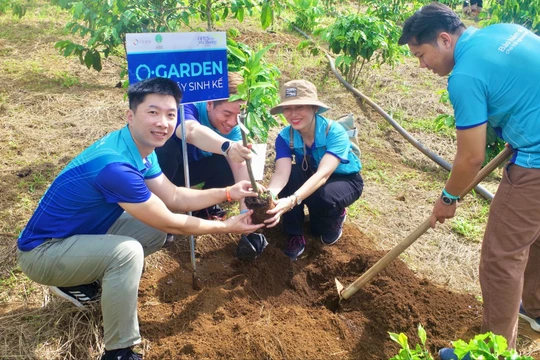 Bảo hiểm số Opes góp phần xây dựng tương lai bền vững từ cây sinh kế 