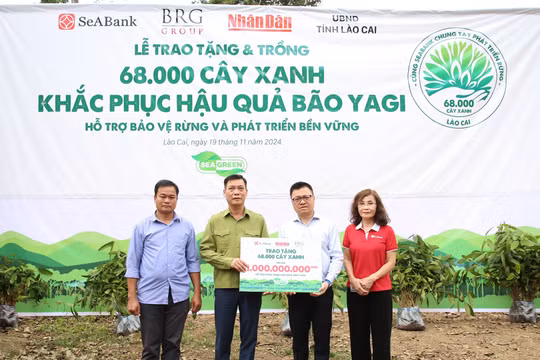 SeABank và Tập đoàn BRG chung tay trồng 68.000 cây phủ xanh gần 20ha rừng tại Lào Cai