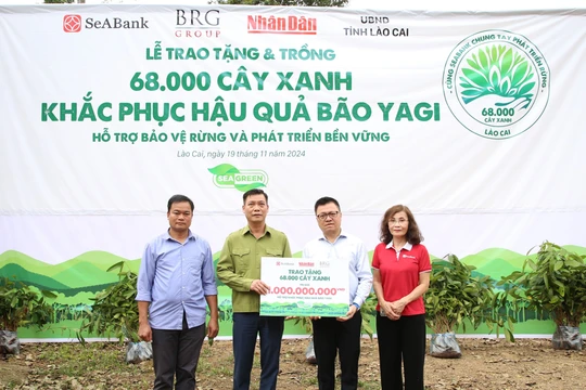 SeABank và Tập đoàn BRG chung tay trồng 68.000 cây phủ xanh gần 20ha rừng tại Lào Cai