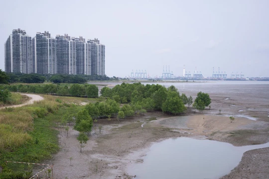 Dự án Forest City ở Malaysia mới hoàn thành 15%, chỉ có 1 4 bốn hòn đảo được quy hoạch trên đất khai hoang được xây dựng (Ảnh: WSJ)