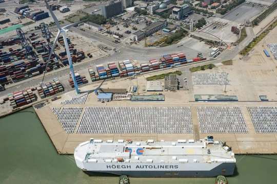 Xe ô tô xuất khẩu gần cảng Thiên Tân ngày 30/6/2023 (Ảnh: Bloomberg)