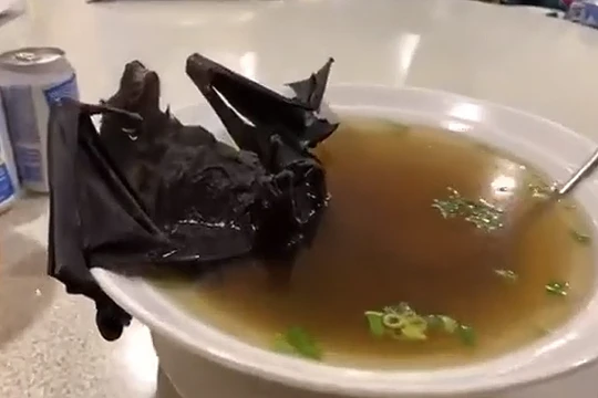 Canh dơi là món ăn khá phổ biến, thậm chí được xem là đặc sản ở Trung Quốc (Ảnh: RT)