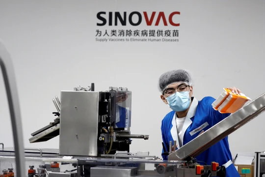 Một nhân viên làm việc trên dây chuyền sản xuất của Sinovac (Ảnh: Nikkei)