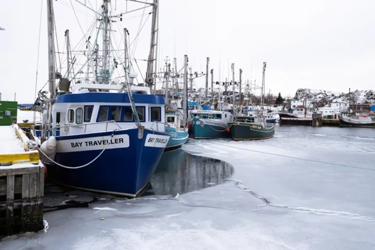 Lệnh áp thuế nhằm vào Canada, Mexico và Trung Quốc của ông Trump có thể làm dấy lên nguy cơ chiến tranh thương mại. Ảnh: Reuters.
