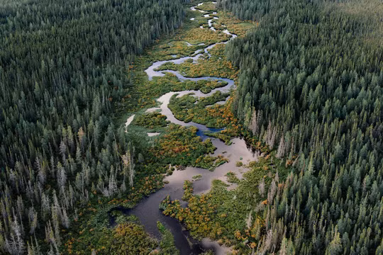 Con đường đi đến "Vành đai lửa" ở Bắc Ontario chụp từ trên cao (Ảnh: WSJ)